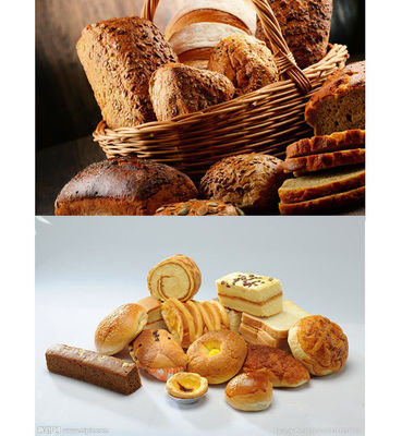 Cuisinier professionnel pour le pain et les gâteaux Fonctionnement facile 9 plateaux Capacité avantage