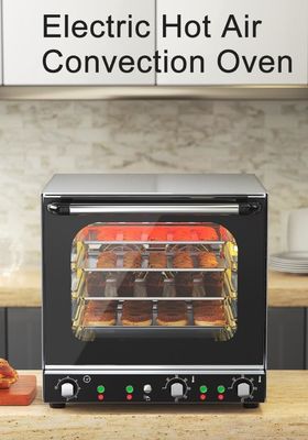 Cuisinier à convection à vapeur électrique à régulation de température précise pour cuire des biscuits à pain