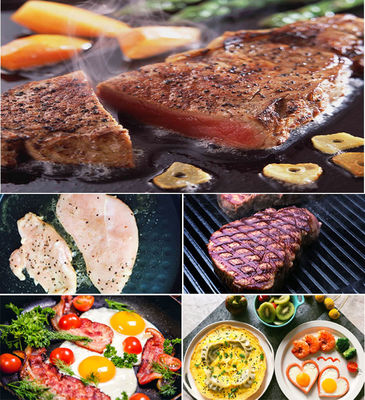 Grill électrique à pain de 13 kg Panini Sandwich commercial Grill à contact unique en acier inoxydable