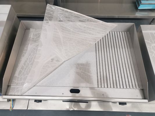 Grilleuse électrique avec construction en acier inoxydable et réglage de la température